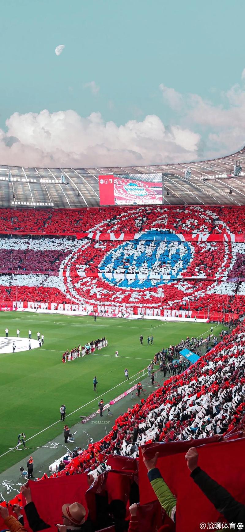 NBA常规赛，开拓者客场96-119不敌灰熊。（NBA常规赛：灰熊主场以119-96击败开拓者）